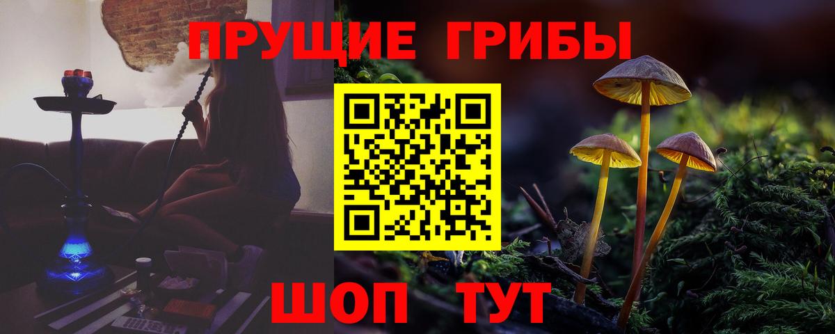 Псилоцибиновые грибы MAGIC MUSHROOMS Зеленодольск